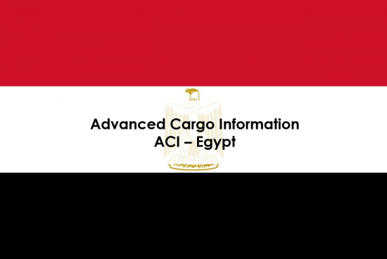 ACI - 埃及新法案